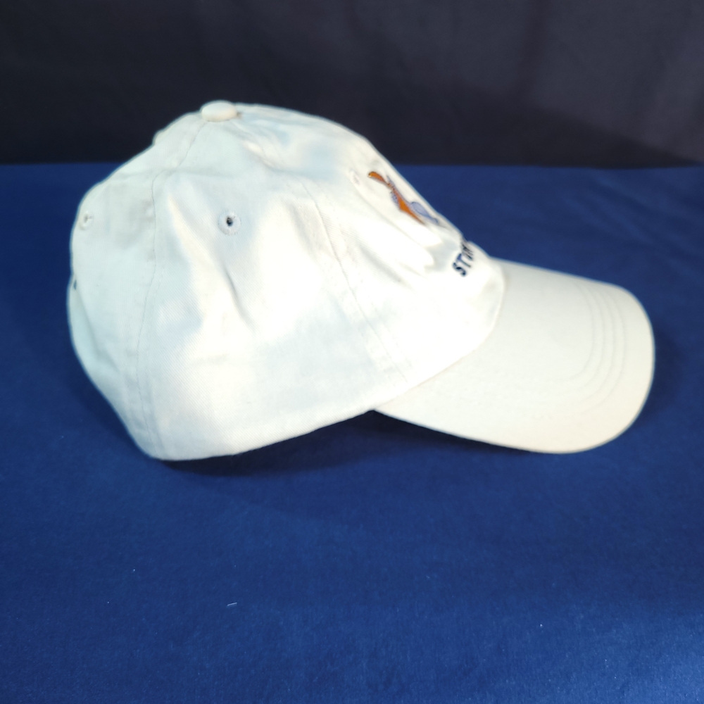 ❤️ Stow Away Embroidered Cap - Picture 3 of 7